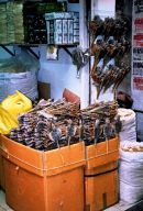 Quinping Market, Guangzhou